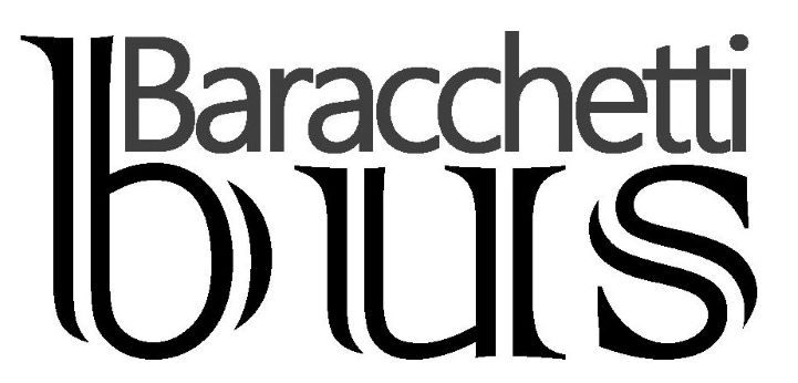 Logo Baracchetti Bus PROFILO